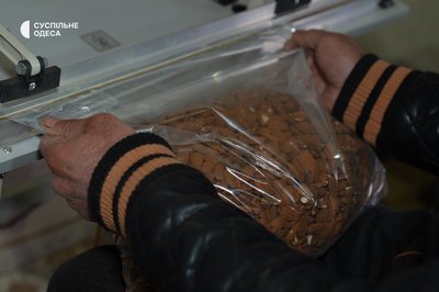 Мигдаль зі свого саду: на Одещині подружжя вирощує горіхи Мигдаль зі свого саду: на Одещині подружжя вирощує горіхи