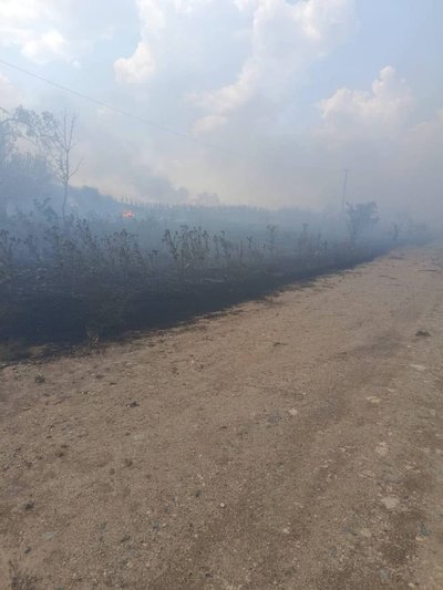 Через дронові атаки горять поля на Херсонщині: в яких умовах збирають урожай зернових Через дронові атаки горять поля на Херсонщині: в яких умовах збирають урожай зернових