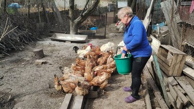 На Кіровоградщині перед Великоднем подорожчали яйця: чи подешевшають після На Кіровоградщині перед Великоднем подорожчали яйця: чи подешевшають після