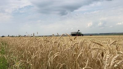 На Харківщині зібрали майже два мільйони тонн зернових культур — ОВА На Харківщині зібрали майже два мільйони тонн зернових культур — ОВА