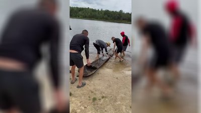 "Виявили біля самого берега": чотири човни-довбанки знайшли місцеві жителі в озері на Рівненщині
