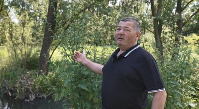 іван шаравара, загинула риба, увисла іван шаравара, загинула риба, увисла