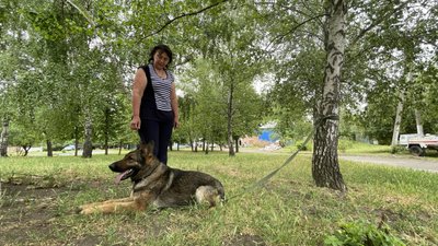 вовчанськ, переселенці, харківщина вовчанськ, переселенці, харківщина