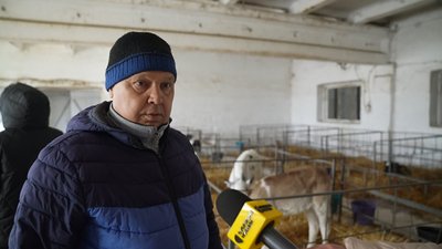 "За день отримуємо близько 4 тонн молока": як працює племінне господарство на Сумщині "За день отримуємо близько 4 тонн молока": як працює племінне господарство на Сумщині