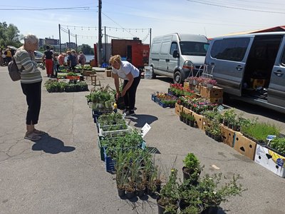 Ярмарок поблизу Молодіжного парку у Хмельницькому Ярмарок поблизу Молодіжного парку у Хмельницькому