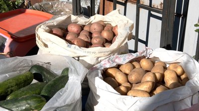 "Наче врожай, а ціни такі ж": яка вартість картоплі на черкаському ринку