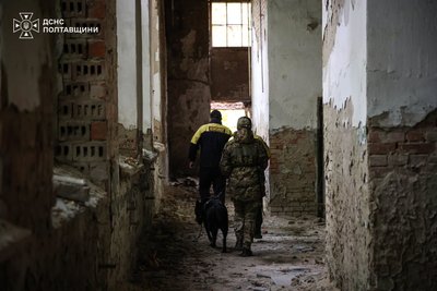Навчали собак пошуку: на Полтавщині провели тренування з порятунку людей з-під завалів Навчали собак пошуку: на Полтавщині провели тренування з порятунку людей з-під завалів