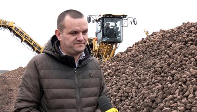 На Волині завершили збір цукрових буряків На Волині завершили збір цукрових буряків