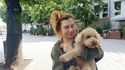 У Житомирі фіксують перегріви у собак: як цього уникнути