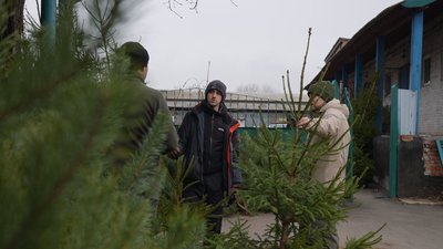 Де на Сумщині придбати ялинку та які ціни Де на Сумщині придбати ялинку та які ціни