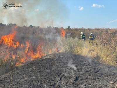 Горіли очерети, стерня та автомобіль: на Вінниччині рятувальники загасили 24 пожежі Горіли очерети, стерня та автомобіль: на Вінниччині рятувальники загасили 24 пожежі