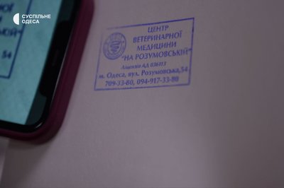 "Роблять нам погану репутацію": у ветлікарні заявили про підробні щеплення у справі котокафе "Роблять нам погану репутацію": у ветлікарні заявили про підробні щеплення у справі котокафе