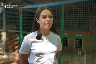 "Кінцева мета — знайти родину": в Одесі працює центр адопції собак, врятованих з війни "Кінцева мета — знайти родину": в Одесі працює центр адопції собак, врятованих з війни