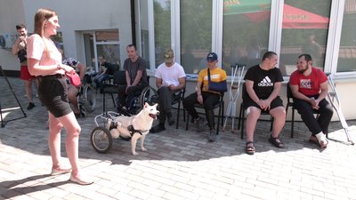 Каністерапія для поранених бійців