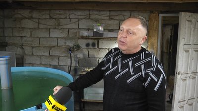 Науковці з Житомира задля експерименту вирощують осетрів