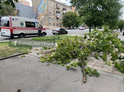 У Харкові на жінку через вітер впала гілка: що відомо про її стан У Харкові на жінку через вітер впала гілка: що відомо про її стан