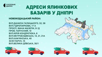 Ялинкові базари: де придбати святкове дерево у Дніпрі Ялинкові базари: де придбати святкове дерево у Дніпрі