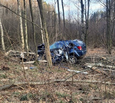 На Житомирщині в ДТП загинув водій — поліція розслідує обставини На Житомирщині в ДТП загинув водій — поліція розслідує обставини