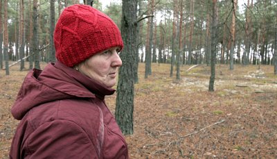 "Ходимо, поки не випаде сніг і не закриє їх": як у селах на Волині збирають пізні осінні гриби "Ходимо, поки не випаде сніг і не закриє їх": як у селах на Волині збирають пізні осінні гриби