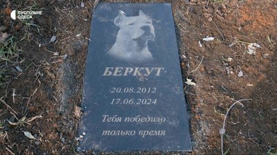 В Одесі посеред парку розростається стихійне кладовище домашніх тварин: відео В Одесі посеред парку розростається стихійне кладовище домашніх тварин: відео