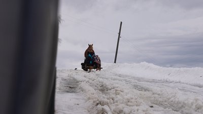 Діти, сани, кінь, село, гори, Сенечів, Франківщина Діти, сани, кінь, село, гори, Сенечів, Франківщина