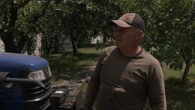 "Це рідкість для нашої області": на Дніпропетровщині активізувалися співочі дубові цикади "Це рідкість для нашої області": на Дніпропетровщині активізувалися співочі дубові цикади