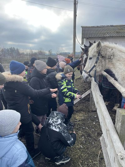 На Рівненщині планують відкрити центр іповенції На Рівненщині планують відкрити центр іповенції