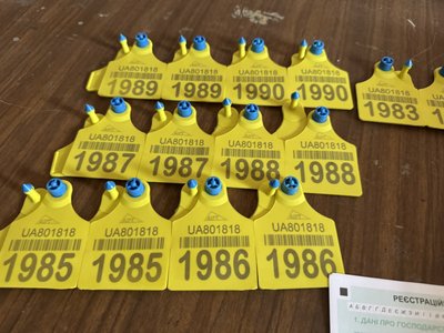Ідентифікація та реєстрація свійських тварин: скільки худоби обліковано на Полтавщині Ідентифікація та реєстрація свійських тварин: скільки худоби обліковано на Полтавщині