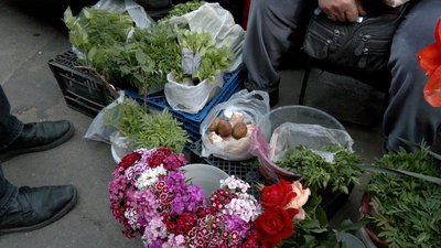 Сезон лісових грибів на Вінниччині: які продають та скільки коштують Сезон лісових грибів на Вінниччині: які продають та скільки коштують