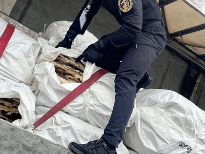 На митному посту "Ужгород" вилучили партію хутра вартістю близько 10 мільйонів гривень На митному посту "Ужгород" вилучили партію хутра вартістю близько 10 мільйонів гривень