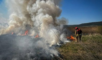 тернопіль, пожежа, дснс, горить трава, 5 травня 2026 року тернопіль, пожежа, дснс, горить трава, 5 травня 2026 року