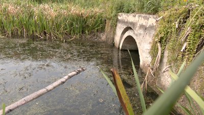На Волині через посуху обміліли водойми та пересихають криниці: що кажуть фахівці На Волині через посуху обміліли водойми та пересихають криниці: що кажуть фахівці