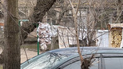 очевидці номер 2 очевидці номер 2