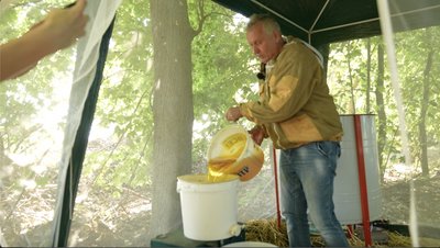 Вистачить для себе та друзів: чи урожайний на мед 2025 рік для Черкащини Вистачить для себе та друзів: чи урожайний на мед 2025 рік для Черкащини