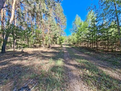 Археологи провели лідар-зйомку на кургані "Вітова Могила" у Полтавській області Археологи провели лідар-зйомку на кургані "Вітова Могила" у Полтавській області