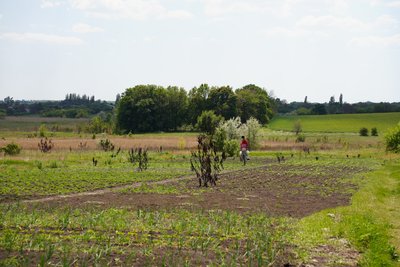 люди життя грод прифронтове село Миколаївка Новогродівська громада Покровський район Донецька область люди життя грод прифронтове село Миколаївка Новогродівська громада Покровський район Донецька область