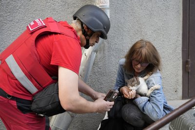 Кішку врятували з пожежі у центрі Харкова після російського влучання, 9 червня 2026 року Кішку врятували з пожежі у центрі Харкова після російського влучання, 9 червня 2026 року