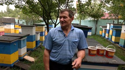 "Зараз ціна 40 грн/кг і ніхто їхати сюди не хоче": як пасічникує житель Чернігівщини біля кордону з Росією "Зараз ціна 40 грн/кг і ніхто їхати сюди не хоче": як пасічникує житель Чернігівщини біля кордону з Росією
