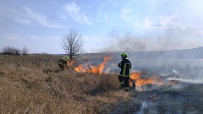 За добу на Кіровоградщині загасили 35 пожеж сухостою За добу на Кіровоградщині загасили 35 пожеж сухостою