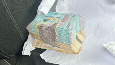 Назбирали "данини" на понад 5 мільйонів гривень: на Миколаївщині затримали керівництво нацпарку