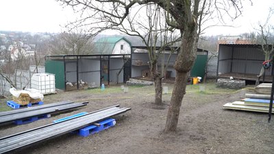 З перебитим хребтом та осколками у кінцівках: до притулку на Дніпропетровщині з-під обстрілів евакуювали двох собак З перебитим хребтом та осколками у кінцівках: до притулку на Дніпропетровщині з-під обстрілів евакуювали двох собак