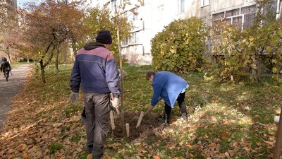 "Повирізали, то треба понасаджувати": у Вінниці триває озеленення міста "Повирізали, то треба понасаджувати": у Вінниці триває озеленення міста