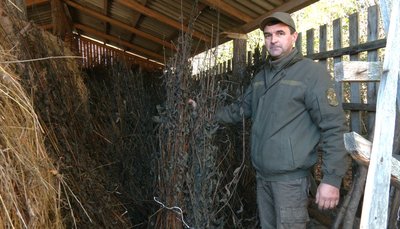 Як у Банилівському лісництві на Буковині підгодовують тварин взимку Як у Банилівському лісництві на Буковині підгодовують тварин взимку