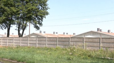 «Взагалі неможливо дихнути»: на Львівщині жителі села вже чотири роки судяться через розміщення свиноферми «Взагалі неможливо дихнути»: на Львівщині жителі села вже чотири роки судяться через розміщення свиноферми