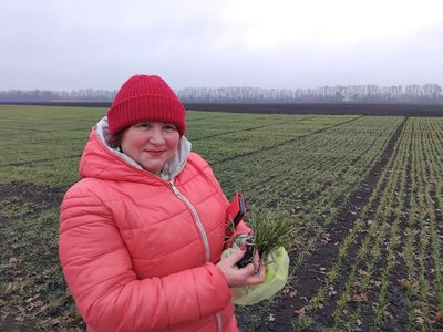 "Вегетація йде пасивно": як тепла зима впливає на посіви озимих "Вегетація йде пасивно": як тепла зима впливає на посіви озимих