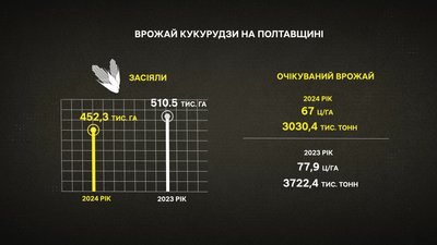 Врожай кукурудзи на Полтавщині 2024-го та 2023-го років