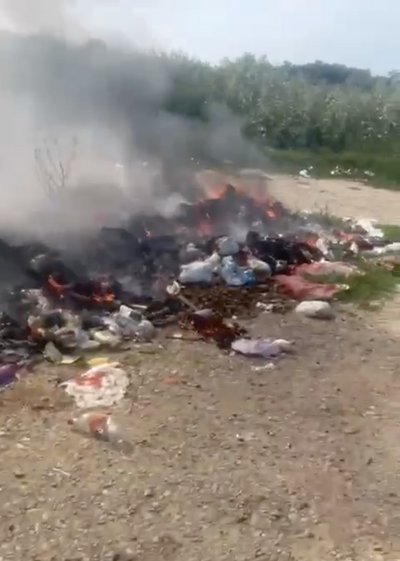 Пожежа на сміттєзвалищі у Ванчиківцях Пожежа на сміттєзвалищі у Ванчиківцях