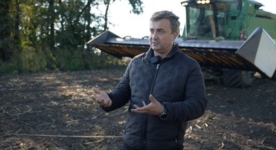 Друга за площею посівів: на Черкащині збирають врожай соняху Друга за площею посівів: на Черкащині збирають врожай соняху
