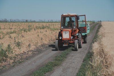 Загинули вісім тисяч гектарів: яка озимина виросла на Харківщині після заморозків і посухи Загинули вісім тисяч гектарів: яка озимина виросла на Харківщині після заморозків і посухи