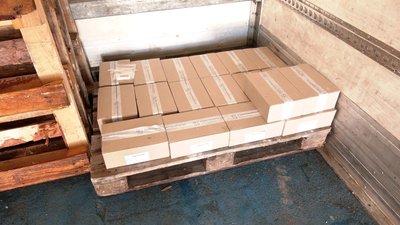 На Вінниччині проводять імунізацію диких тварин проти сказу На Вінниччині проводять імунізацію диких тварин проти сказу